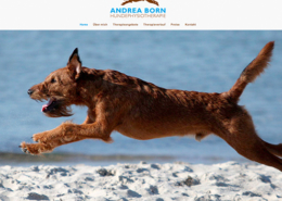 Bild Projekt Webdesign - für Andrea Born Hundephysiotherapie