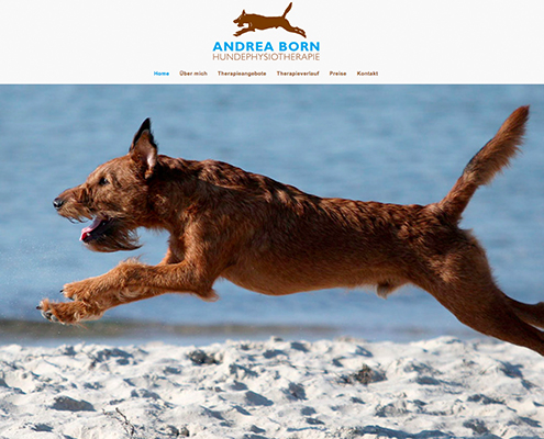 Bild Projekt Webdesign - für Andrea Born Hundephysiotherapie