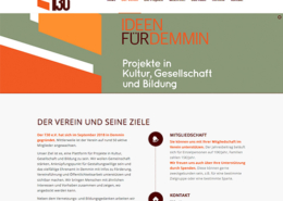 Bild Projekt Webdesign - für den t30 e.v. Demmin